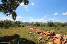 Terreno Para Construção  Venda em Querença, Tôr e Benafim,Loulé