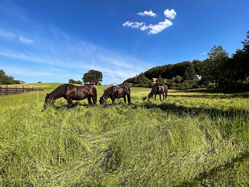 Domek nad jeziorem na Kaszubach