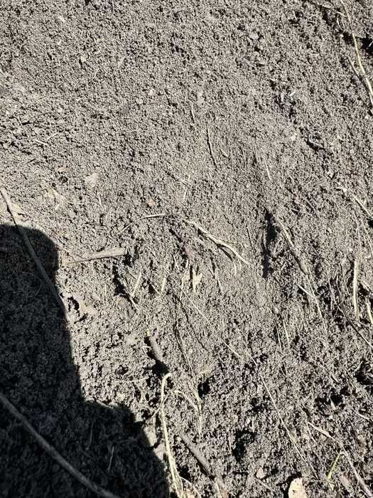 ZIEMIA HUMUS CZARNOZIEM do podniesienia terenu ogrodu TANIO