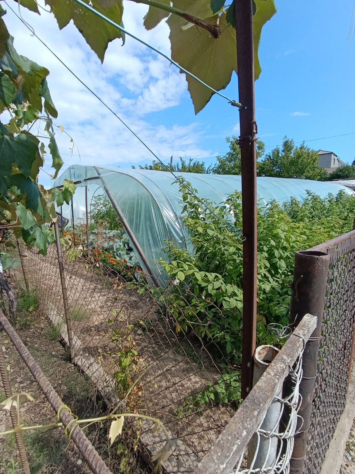 Продам земельну ділянку 6 сот