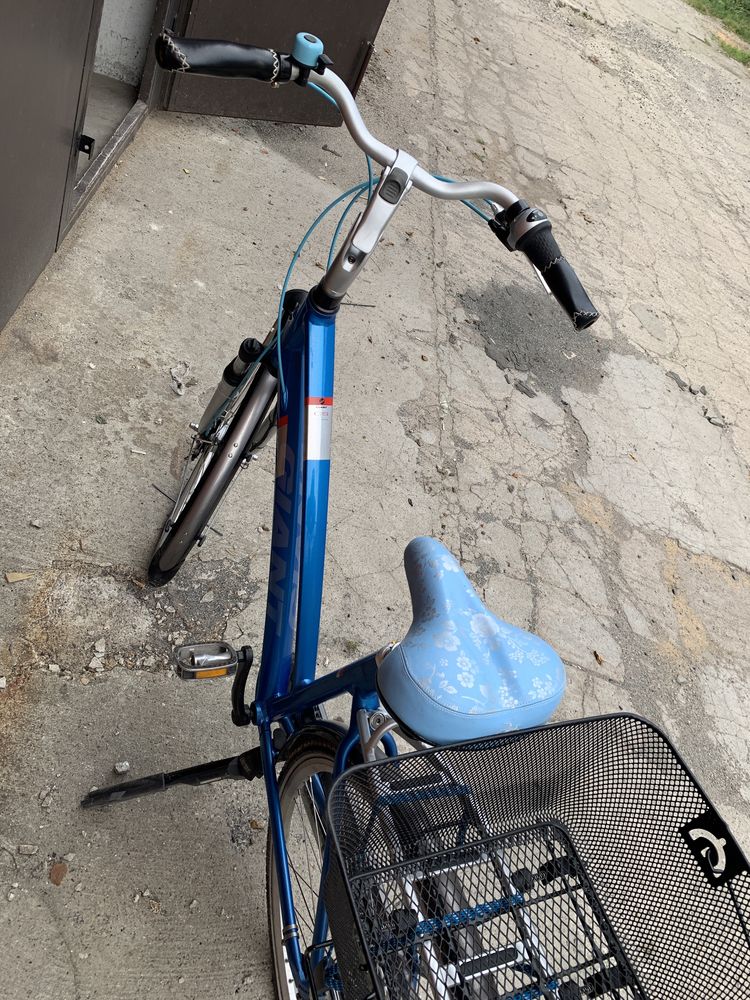 Rower damski GIANT COSMO CS 2  Shimano Nexus