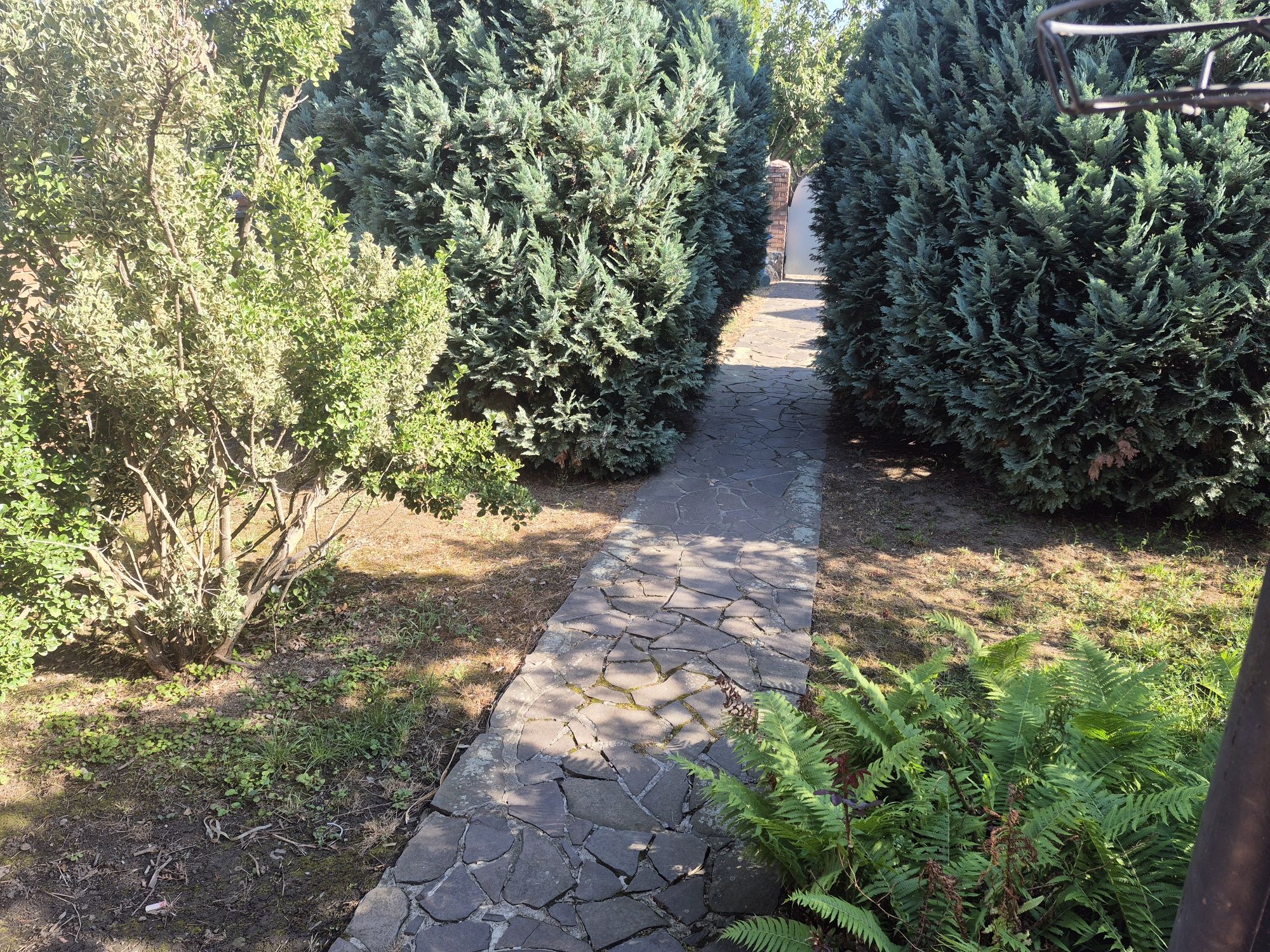 Здається будинок неподалік від центра міста.