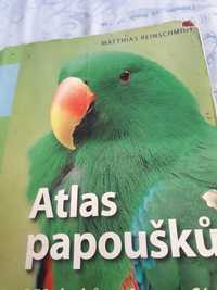 Продам книгу про попугаях