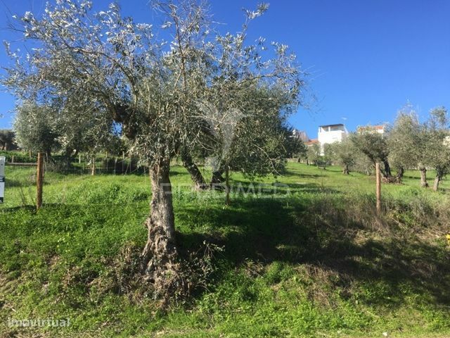 Lote de terreno urbano para construção em Montargil