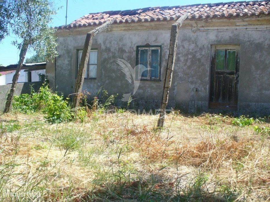 Excelente oportunidade terreno misto com ruina, Constância