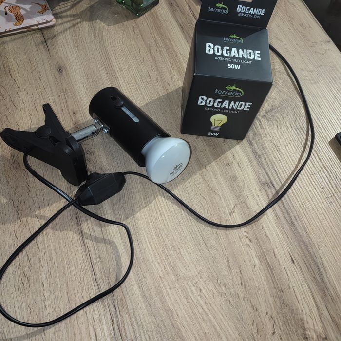 Lampa grzewcza plus dwie żarówki 50 W