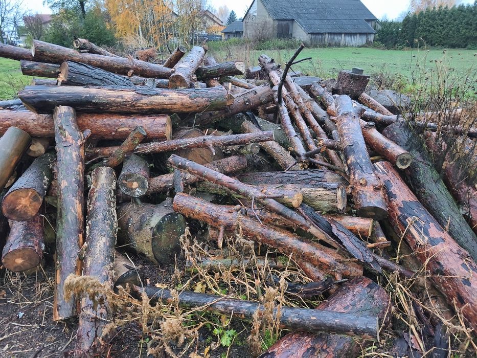 Drewno opałowe sosna świerk wałki