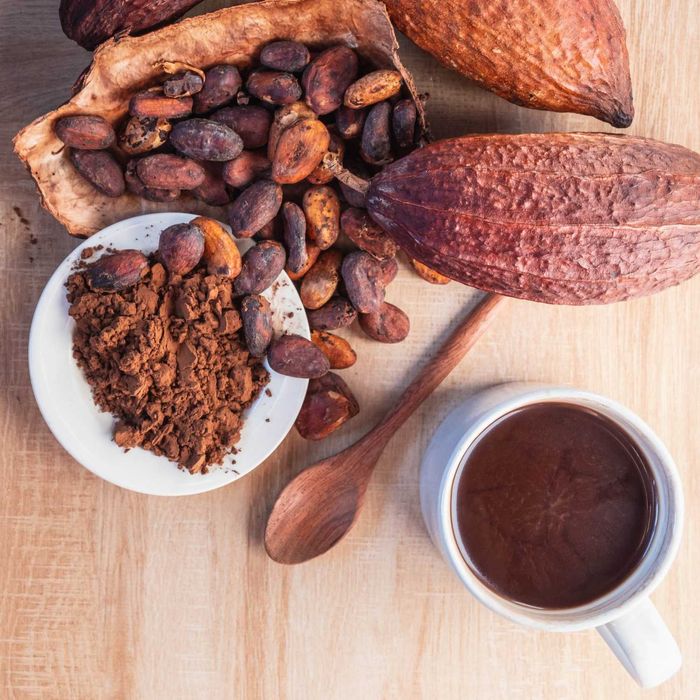 Kakao proZucker GHANA 10-12% tłuszczu  20kg | cukrowe.com cukiernia