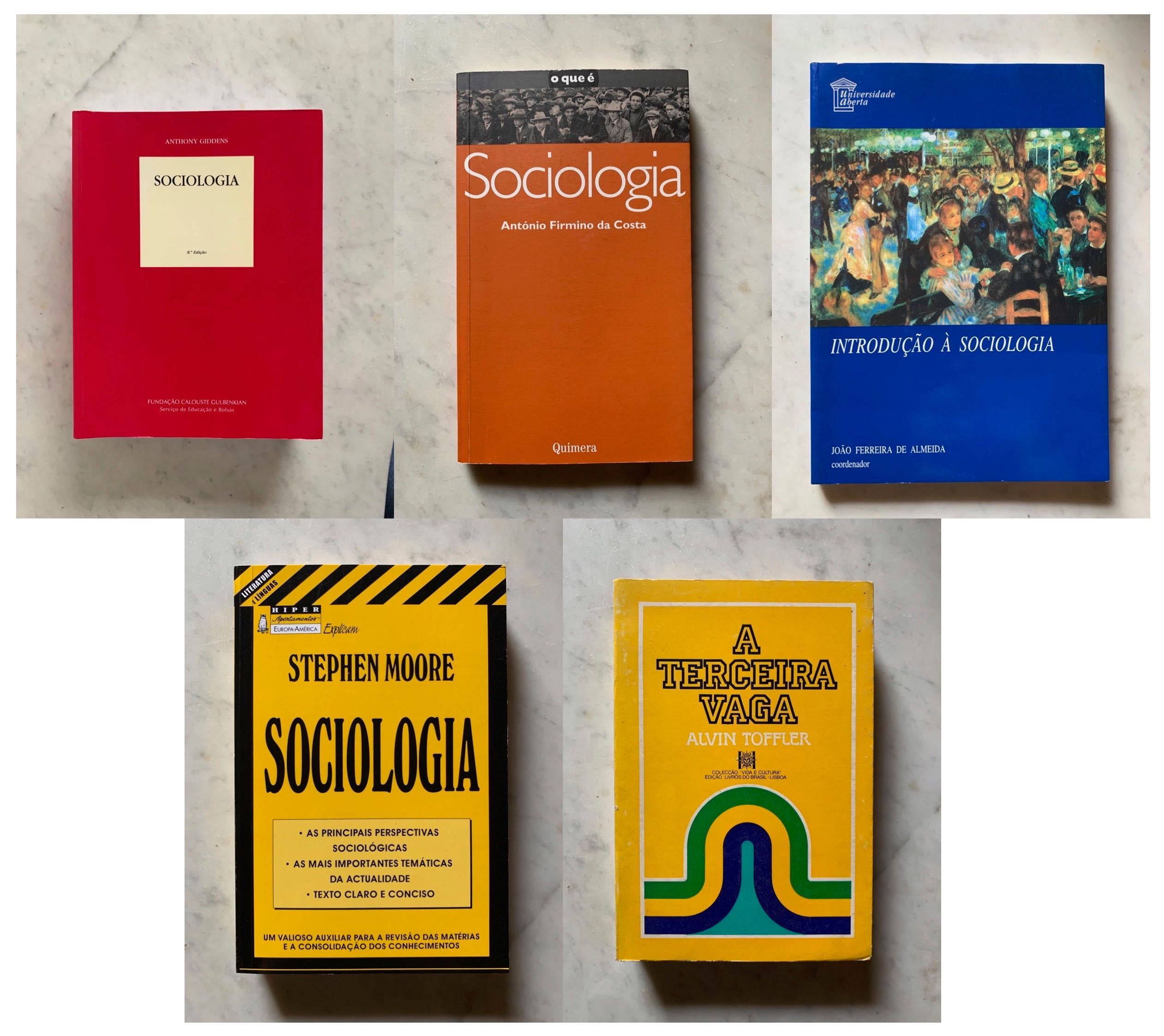 Livros 1o Ano Ciências Sociais | EXCELENTE CONDIÇÃO/COMO NOVOS