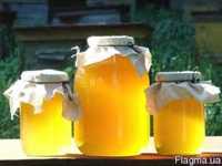 Продам мед с домашней пасеки