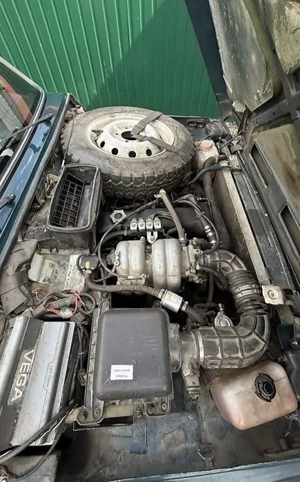 Нива без зауважень