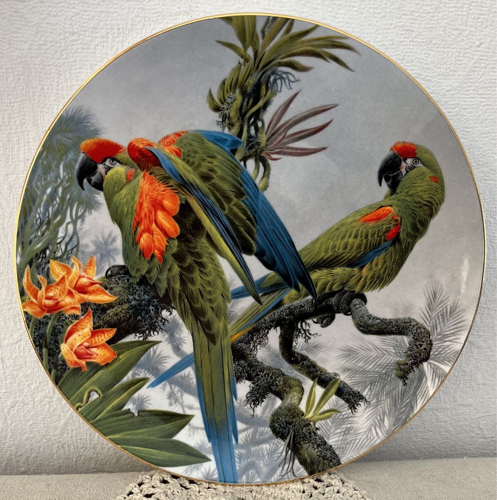 Elegancki WEDGWOOD Vintage Papuga Angielska Porcelana Talerz obraz