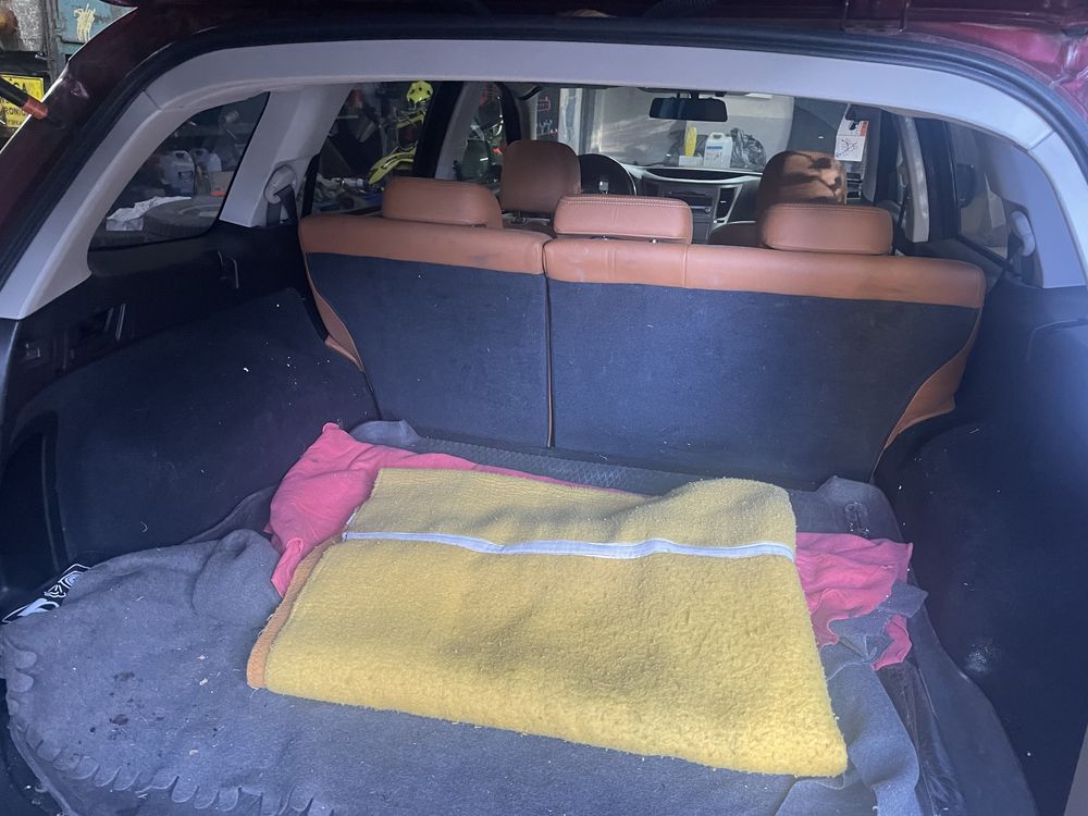 Subaru outback bordowe