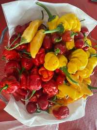 Piri Piri Carolina Reaper/Bhut Jolokia Pepper