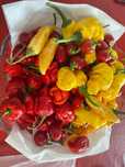 Piri Piri Carolina Reaper/Bhut Jolokia Pepper