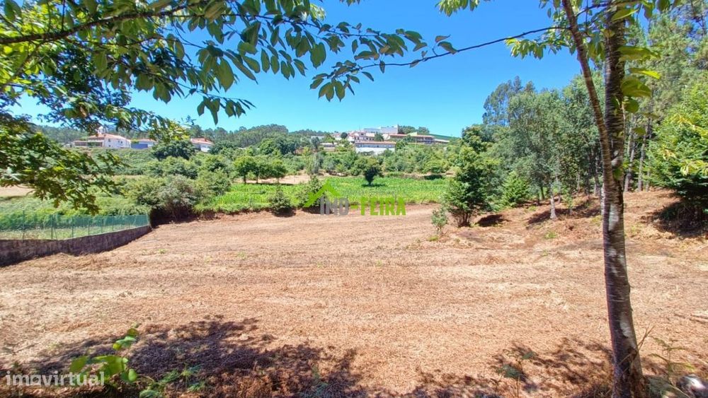 Terreno com projeto, Vale de Cambra
