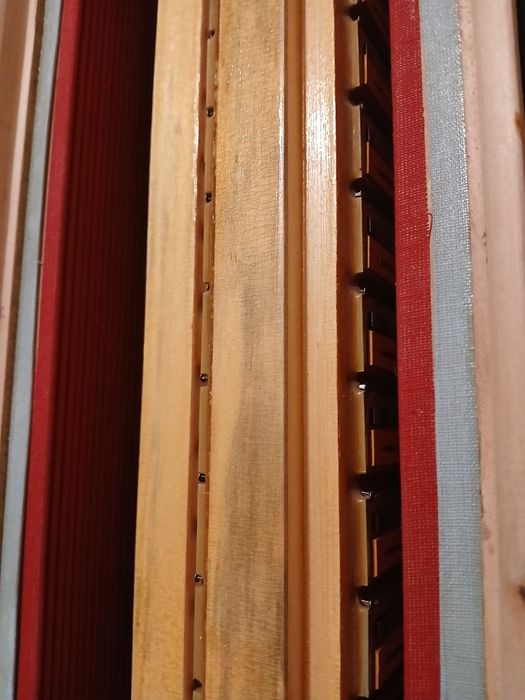 Włoski akordeon 3 chórowy Victoria