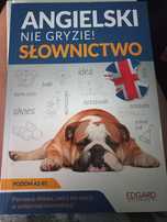 Angielski nie gryzie A2-B1