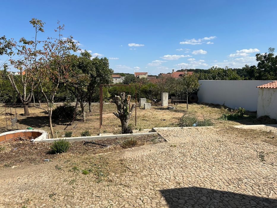 Manutensões de Jardins e Quintais