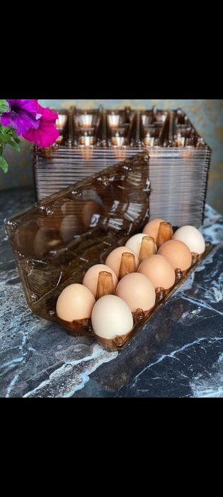 Упаковка Лотки тара для яиц