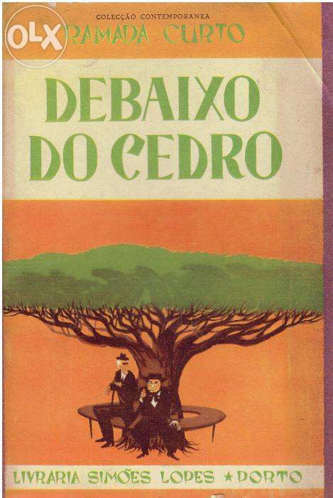 220 - Literatura - Livros de Ramada Curto (Vários )