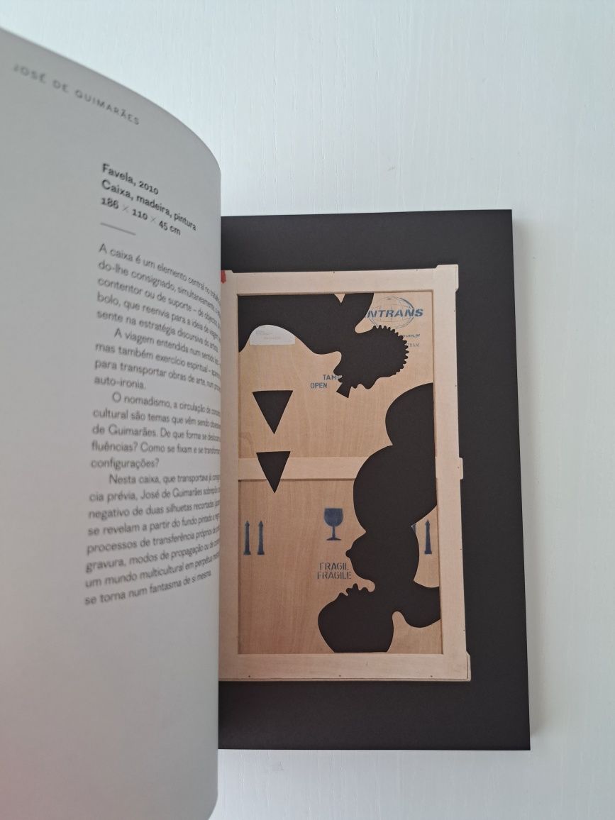 Catálogo da Exposição de José de Guimarães