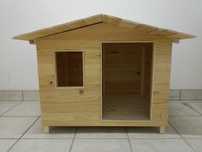 casotas para gatos e caes