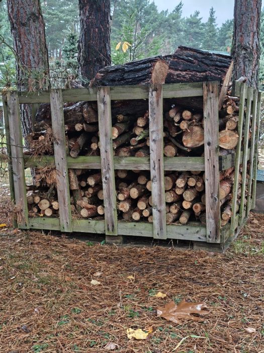 Drewno opałowe sosnowe