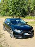 Audi A3 8P lift 2.0 CR 170 S tronic