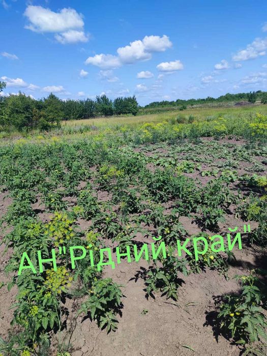 Без комісії! Продається затишний, окремий будинок.Є ж/ д сполучення.