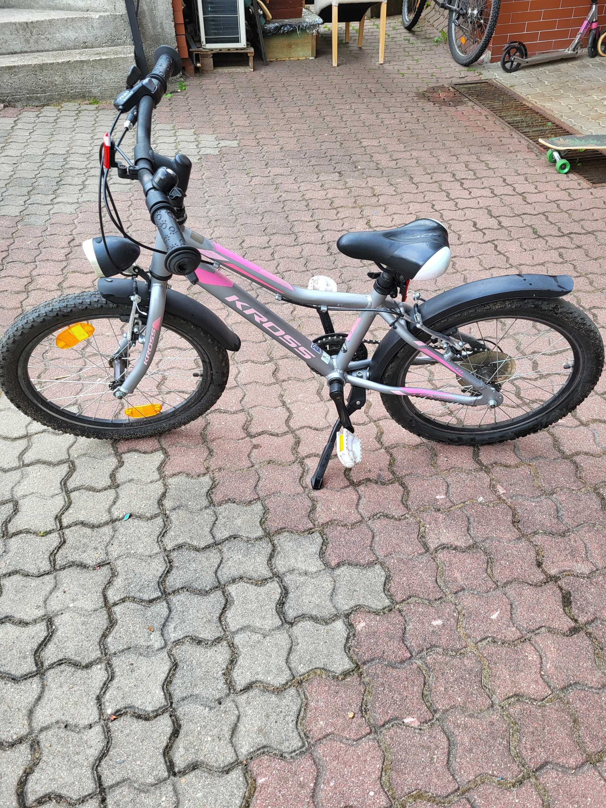 Rower Kross Lea Mini 1.0 srebrno-różowy mat