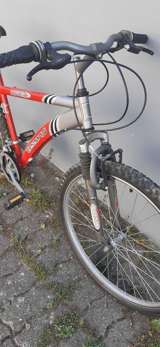 Bicicleta TEAM Nature-F80