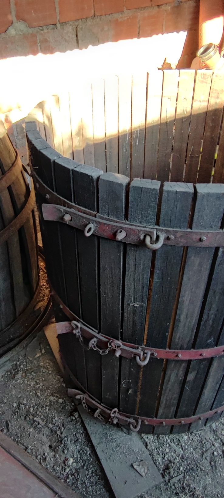 Caniço para uvas