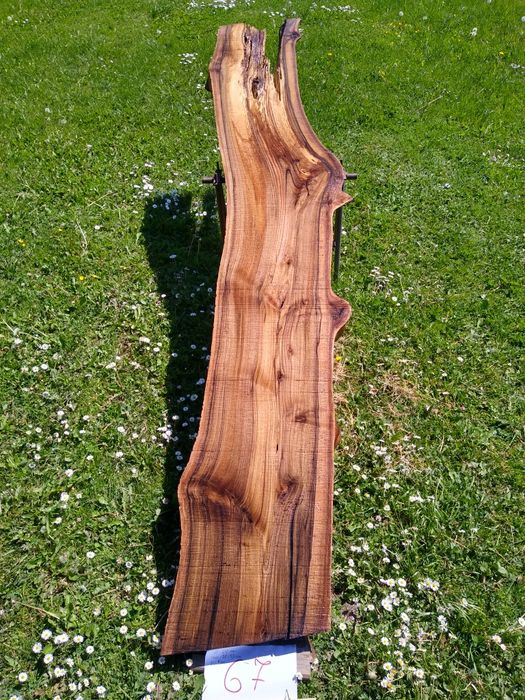 Deska orzech włoski