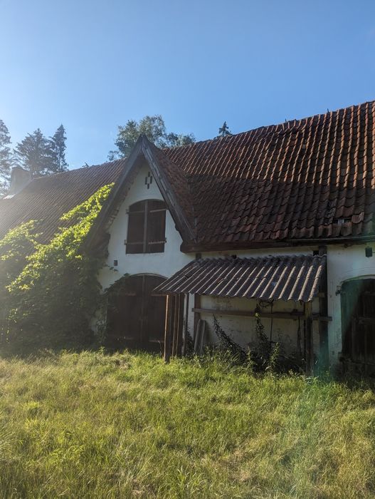 Urocze siedlisko w lesie na Mazurach Szczytno z budynkiem gospodarczym