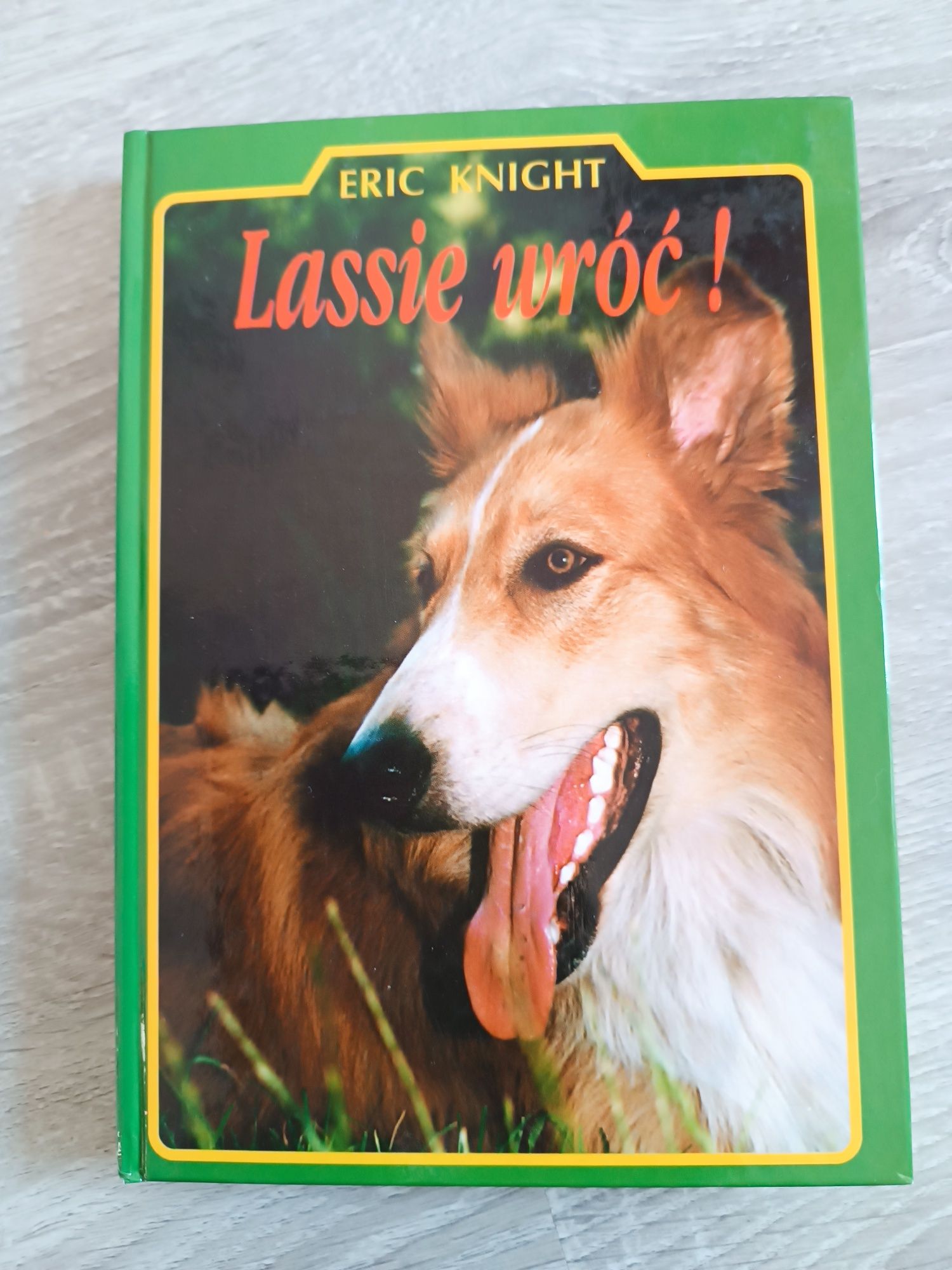 Książka Lassie wruć
