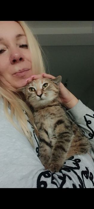3miesięczna kotka szuka domu niewychodzącego