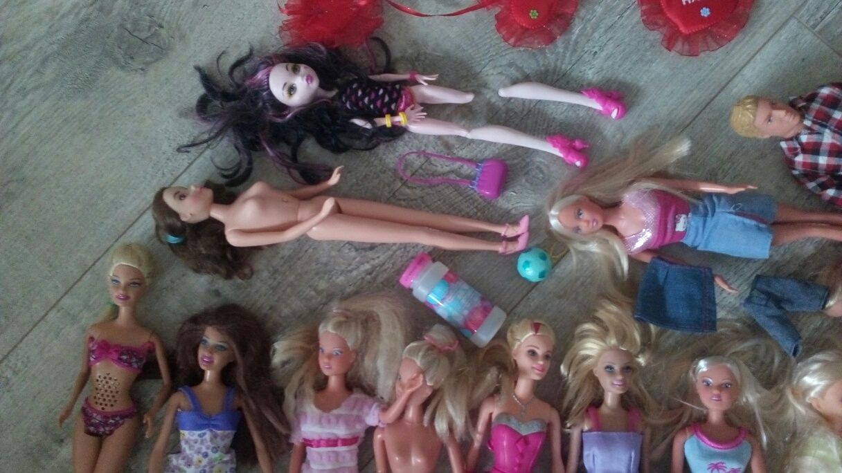 Zestaw 16 lalek Barbie Ken Monster High lalka pies dodatki ubranka