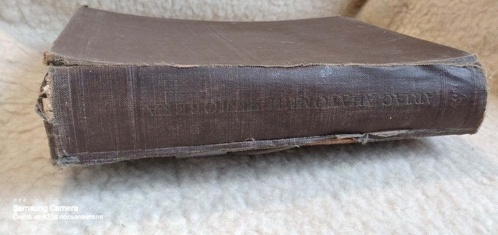 Атлас анатомии человека.  Воробьёв.  Синельников.