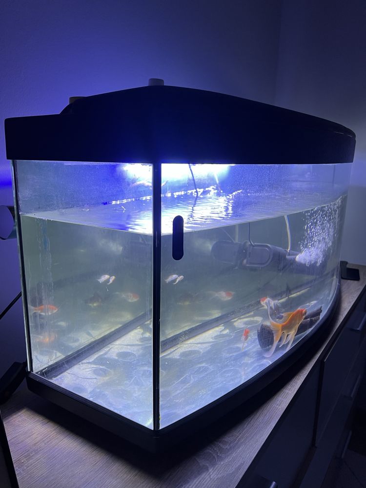 Aquario 200 litros