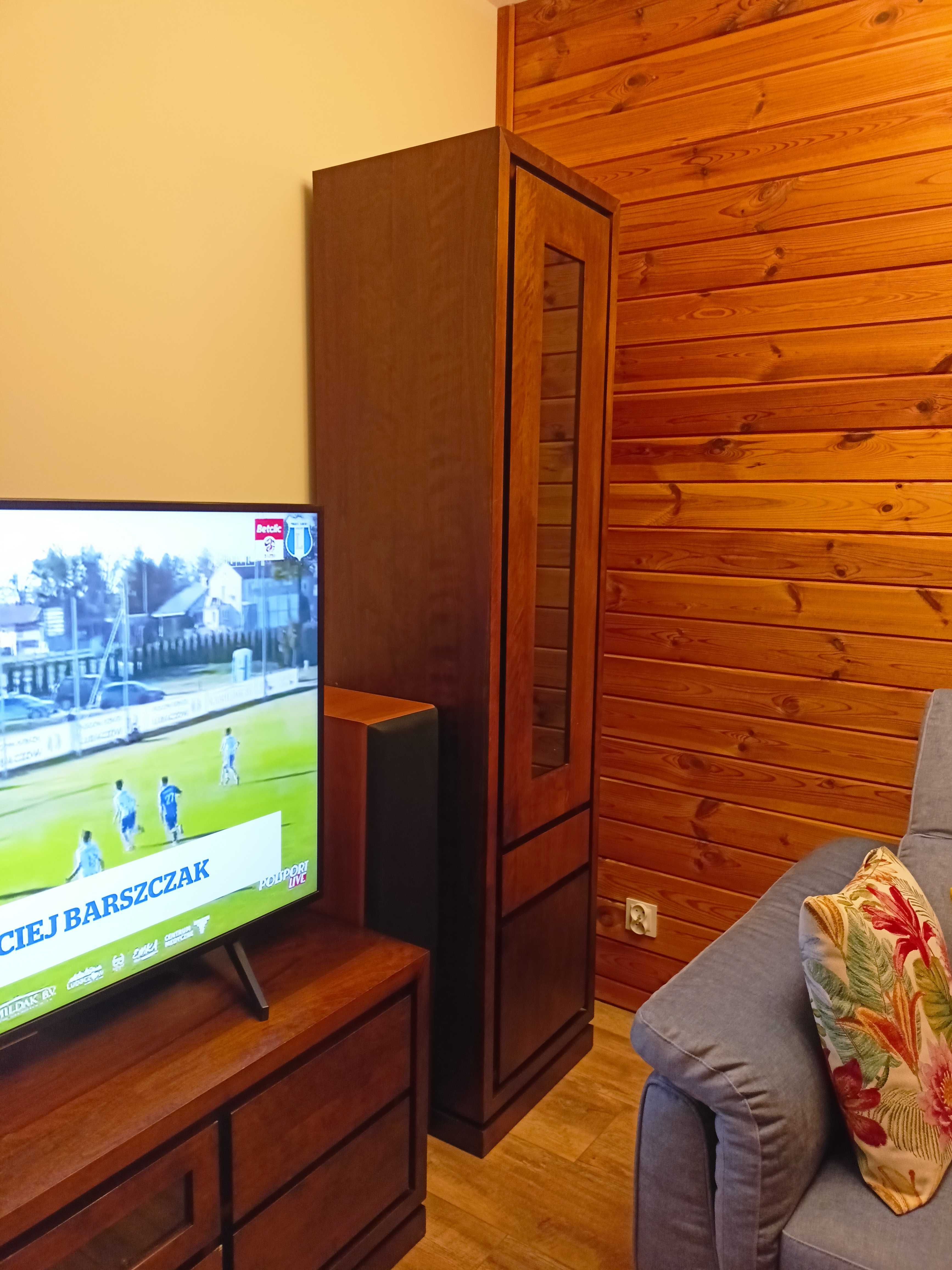 Szafka RTV z witryną