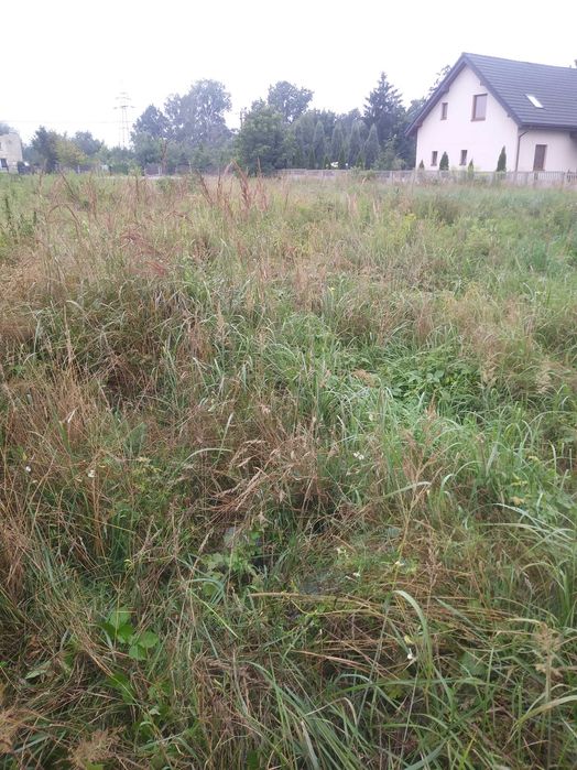 Kompleksowe czyszczenie terenu działek przygotowanie pod budowę