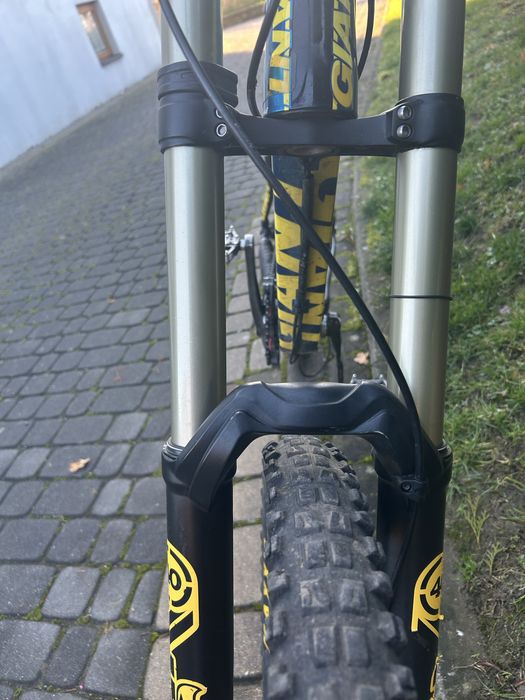 Rower Giant Glory Maestro 2014