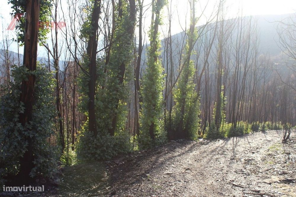 Terreno Rústico bem localizado  - Canelas - Arouca