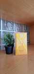 Xerjoff Erba Gold