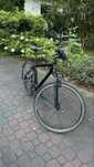 rower cross meski