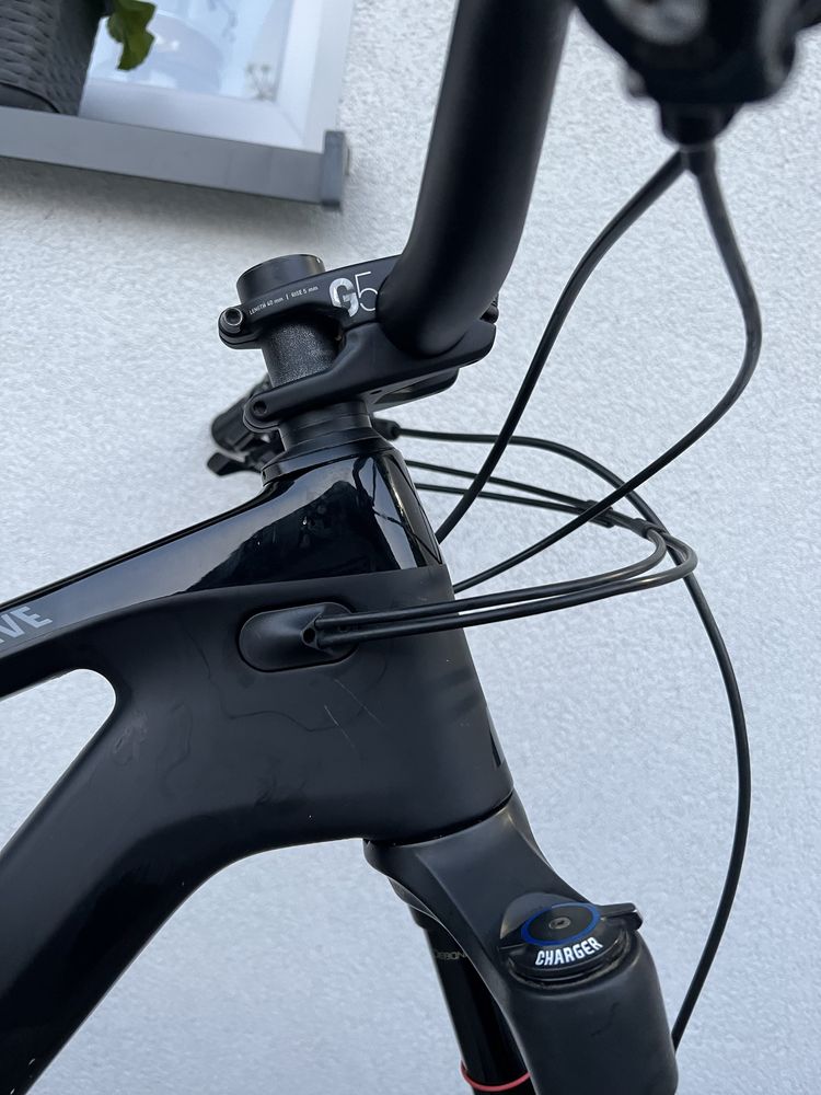 Canyon strive carbon