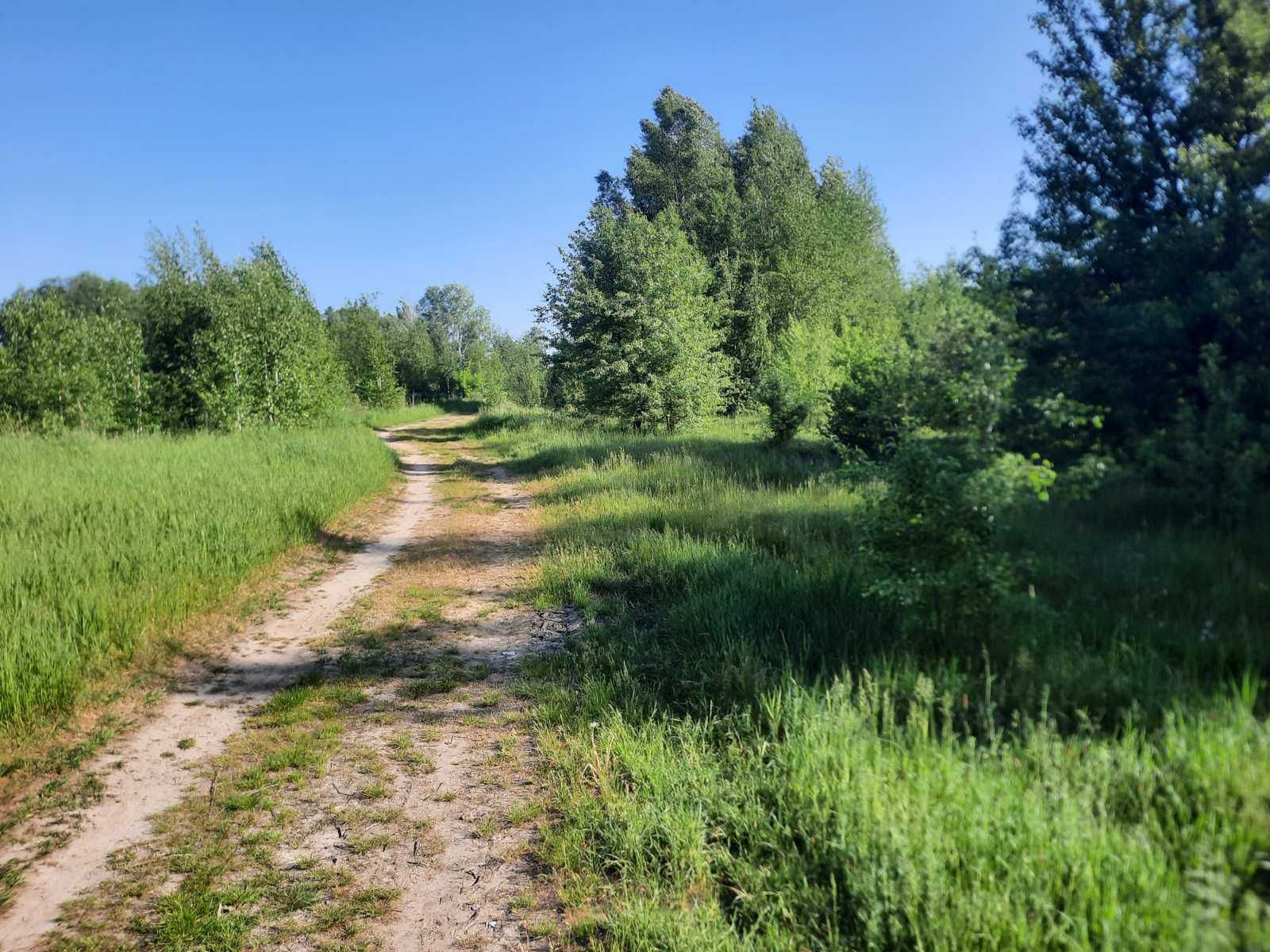 Пропонуємо земельну ділянку у селі Нижня Дубечня