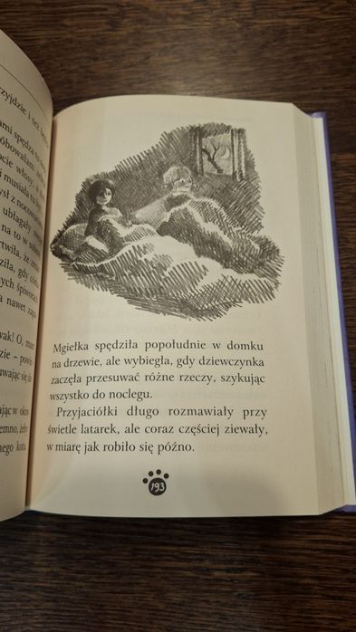 Zaopiekuj się mną - Niezapomniane opowieści o kotkach