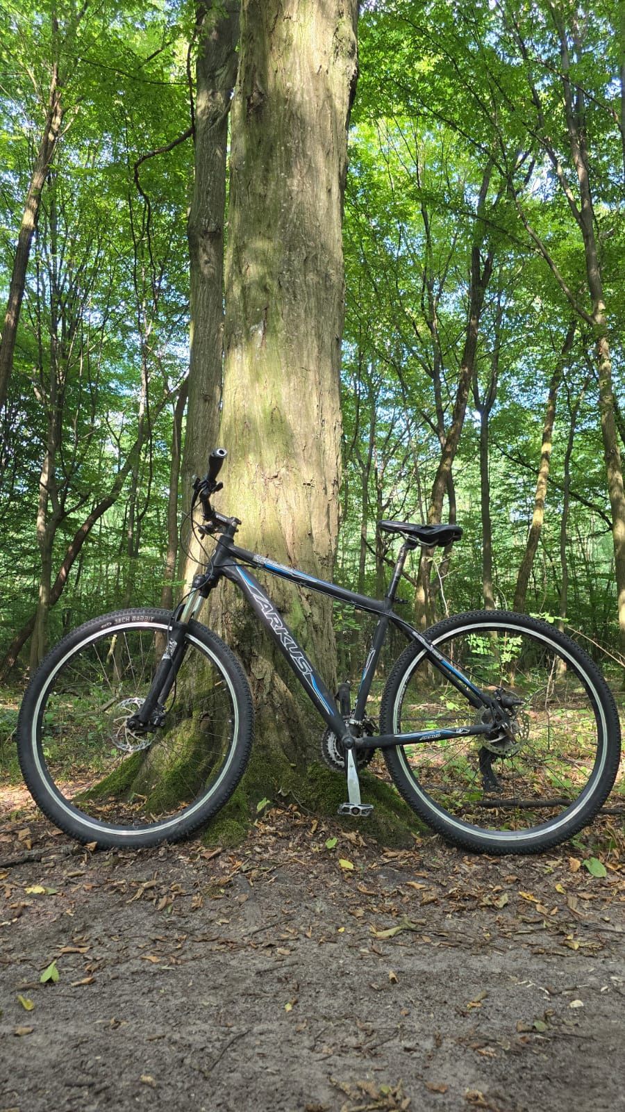 Arkus Beryl 290 rower górski MTB